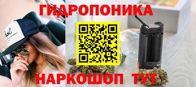 гидропоника Обь