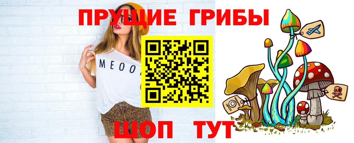 купить   Галлюциногенные грибы Psilocybine cubensis  Галлюциногенные грибы прущие грибы  Вход с VPN  Улан-Удэ 