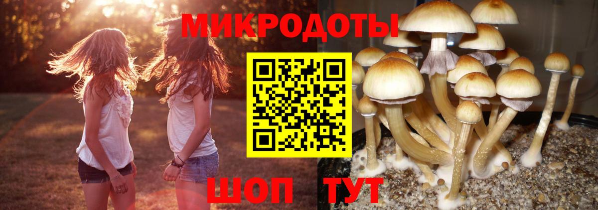 Псилоцибиновые грибы Cubensis Улан-Удэ